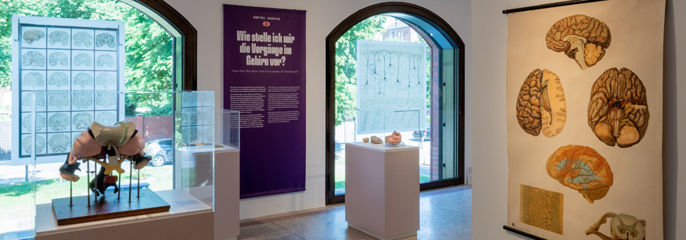 Exhibiton "The Brain in Science and Art" in Berlin